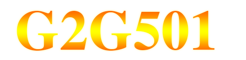 g2g501 สล็อต